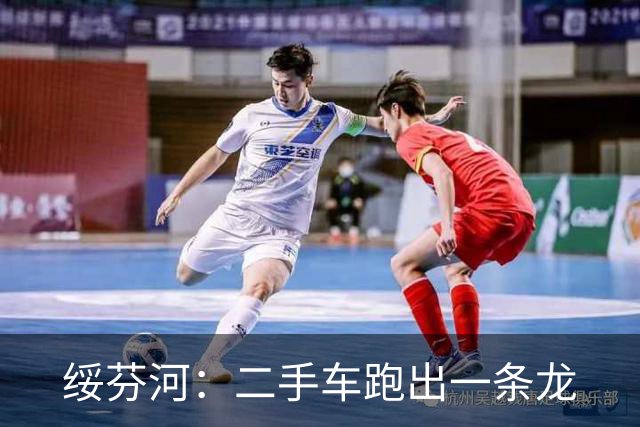 绥芬河：二手车跑出一条龙